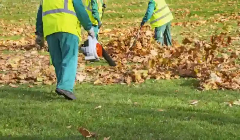 How to clear a yard full of weeds in Trenton, NJ 