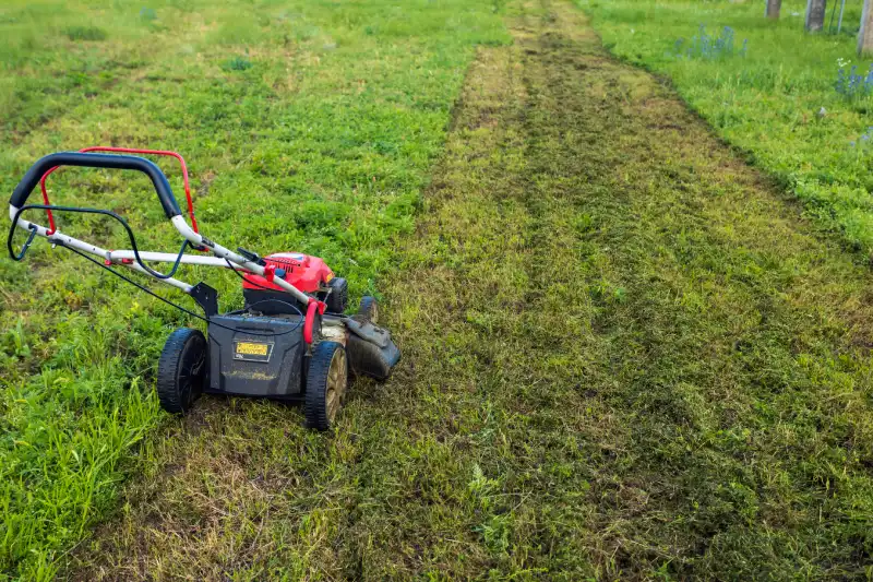 How to Mow a Lawn in Trenton, NJ 