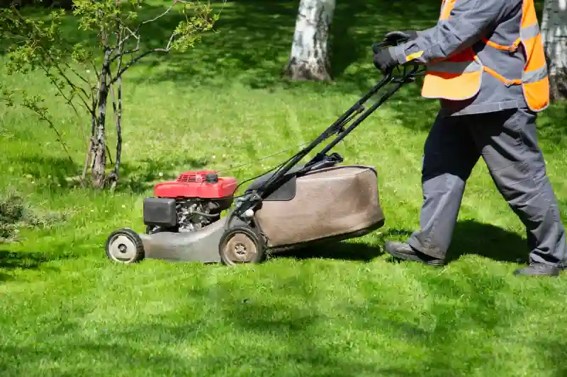 Outstanding Lawn Mowing Services in Trenton, NJ 