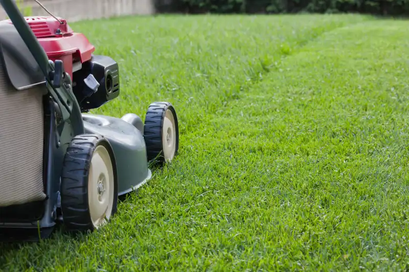 Reliable Lawn Mowing Services in Trenton, NJ 