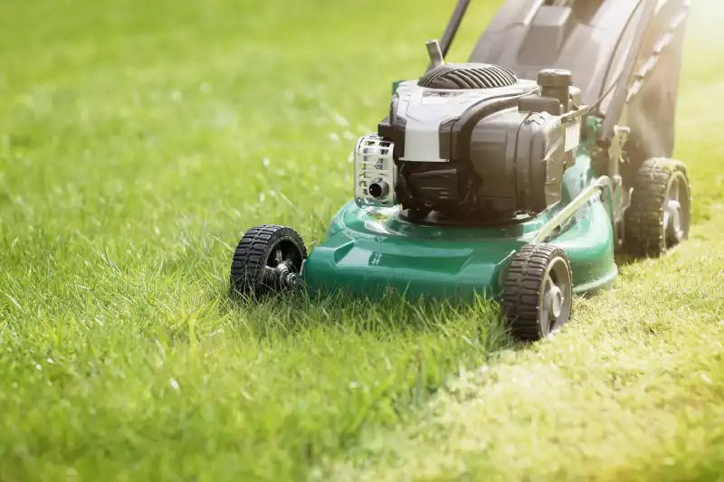 Professional Lawn Mowing Services in Trenton, NJ 