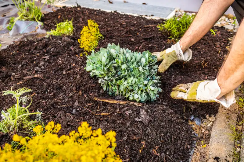 Professional Mulching Service in Trenton, NJ 