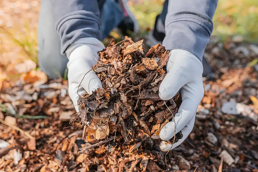 Mulching Services