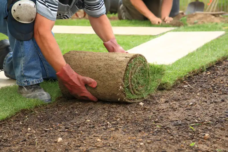 Outstanding Sod Installation Service in Trenton, NJ 