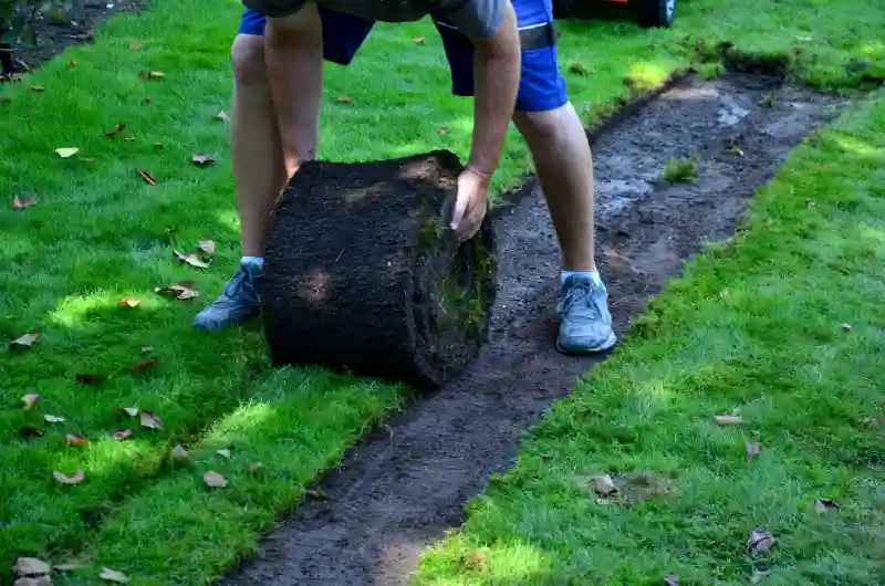 Reliable Sod Installation Service in Trenton, NJ 