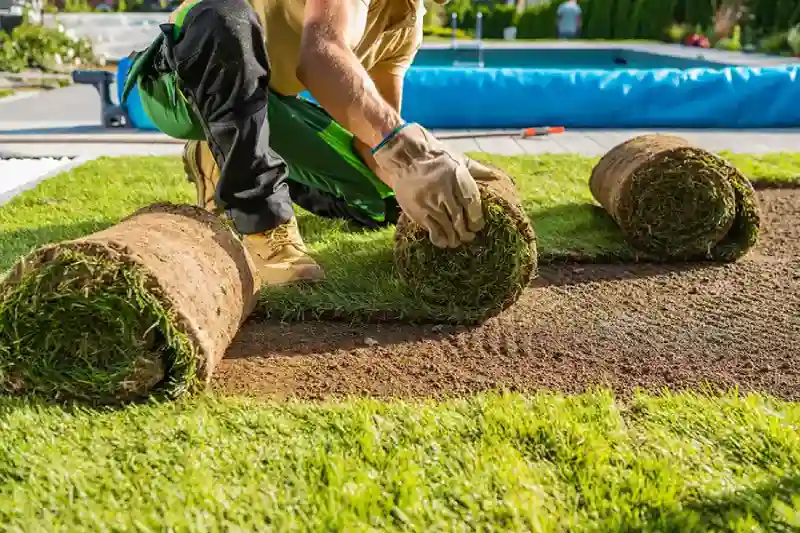 Sod Installation Services