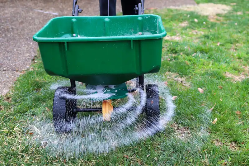 When is the best time to fertilize your lawn in Trenton, NJ 