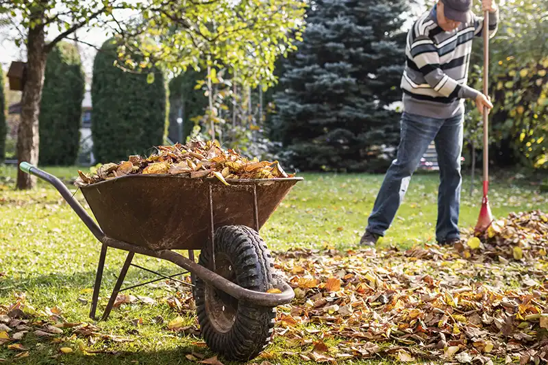 Outstanding Yard cleanup Service in Trenton, NJ 