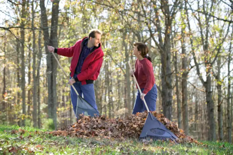 Reliable Yard cleanup Service in Trenton, NJ 